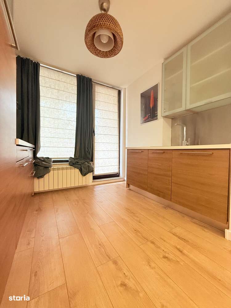 Studio spatios North Area Lake View -Herastrau-3