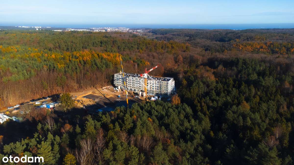 nowa inwestycja w otulinie lasu | ogród - Pełny obrazek: 5/14