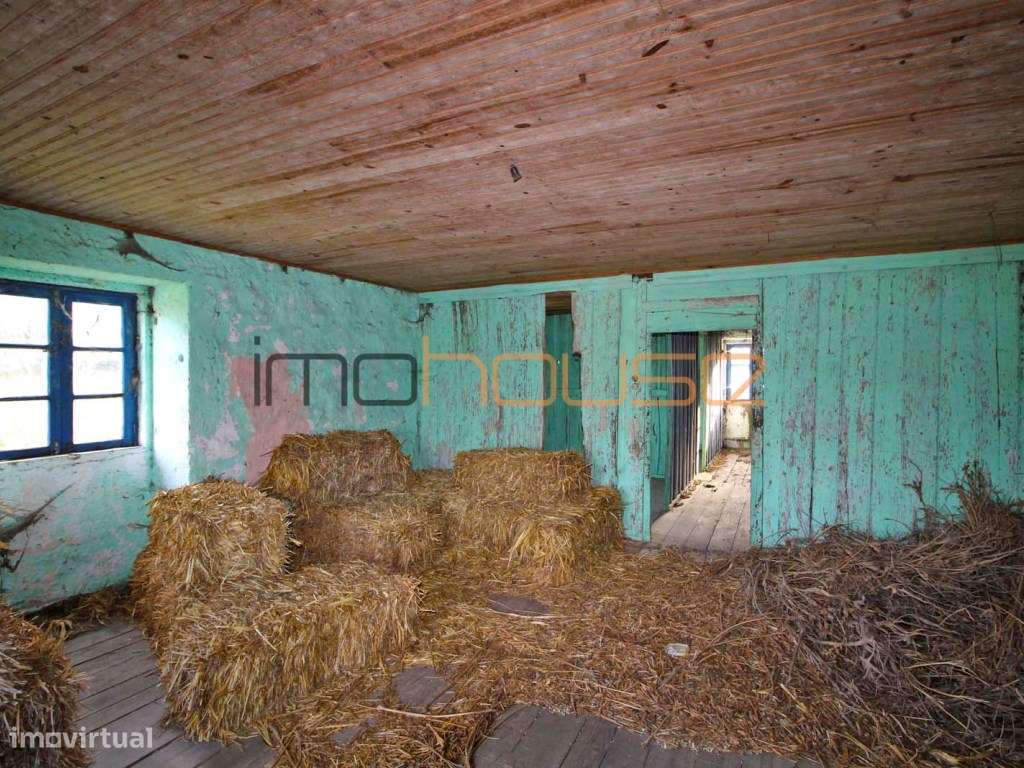 Quinta de 2ha com várias edificações - Terreno Plano-17