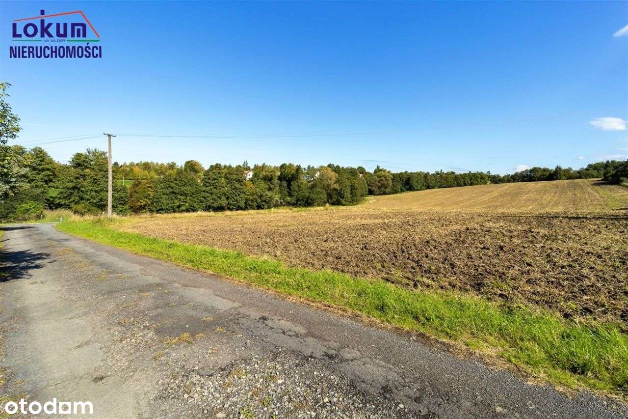 Międzyświeć - działka 1562 m², dojazd, media-6