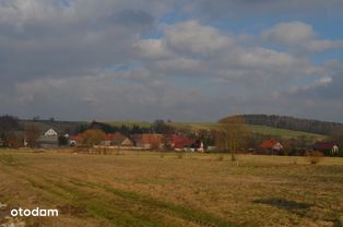 piękna działka Pisarzowice