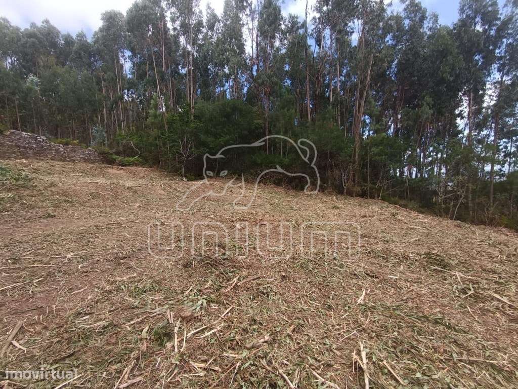 Terreno Urbano com projeto aprovado em Vilarelho-6