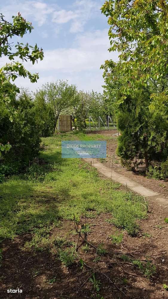 Teren 2.600 mp, utilități, Str. Merișor – Giurgiu-12