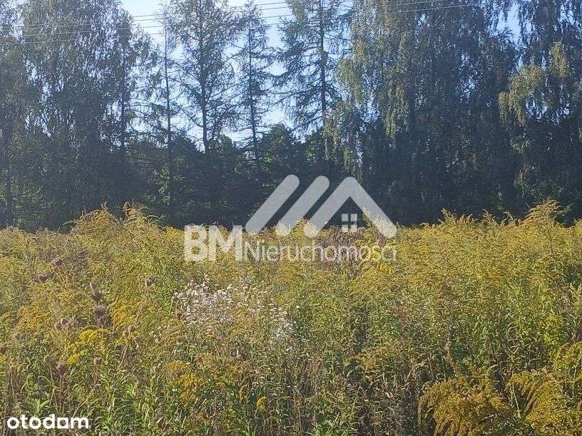 Działka w Opypach z pozwoleniem na budowę - Pełny obrazek: 5/8