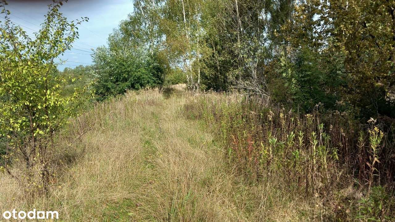 Ruda Śląska kompleks działek rejon ul. Rudzkiej, Dobrej Nadzei - Pełny obrazek: 4/6