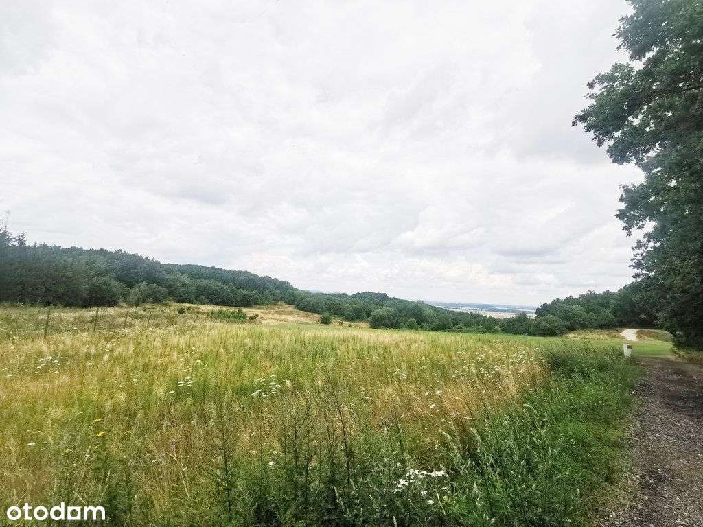 Działka budowlana w pięknym miejscu - Pełny obrazek: 4/6
