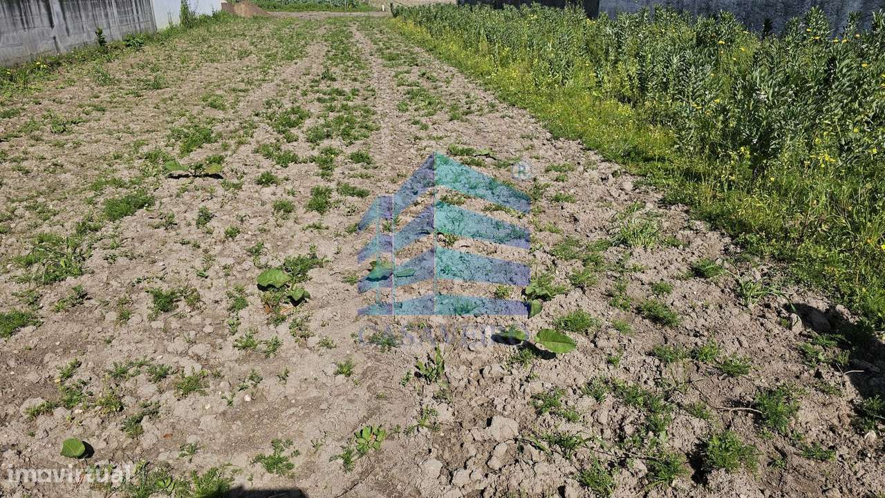 Terreno Urbano, às portas da Cidade de Aveiro - Grande imagem: 5/11