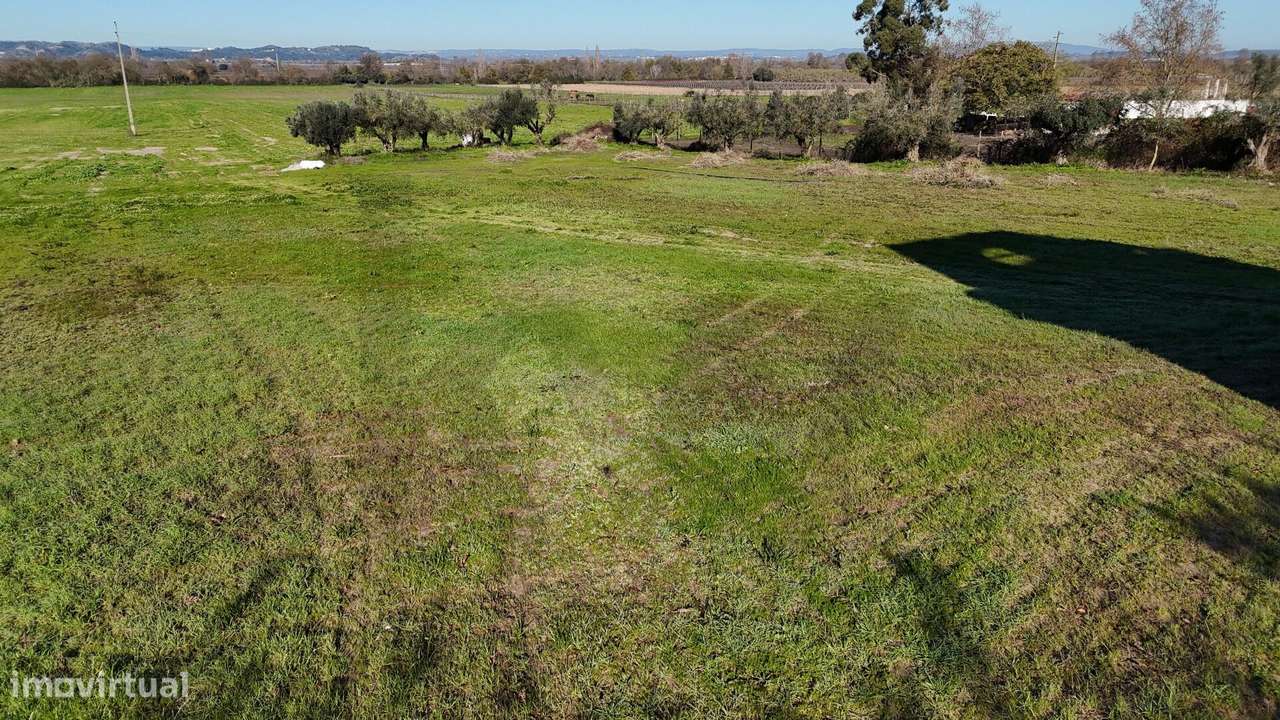 Terreno para construção - Oportunidade de Investimento no Centro de Al - Grande imagem: 5/15
