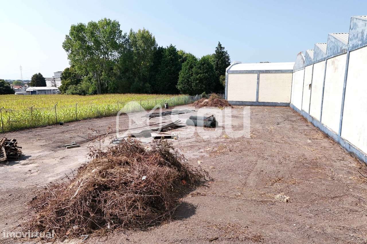 Vende-se Lote junto à N109 com ABC de 1.550m2 - Grande imagem: 2/8