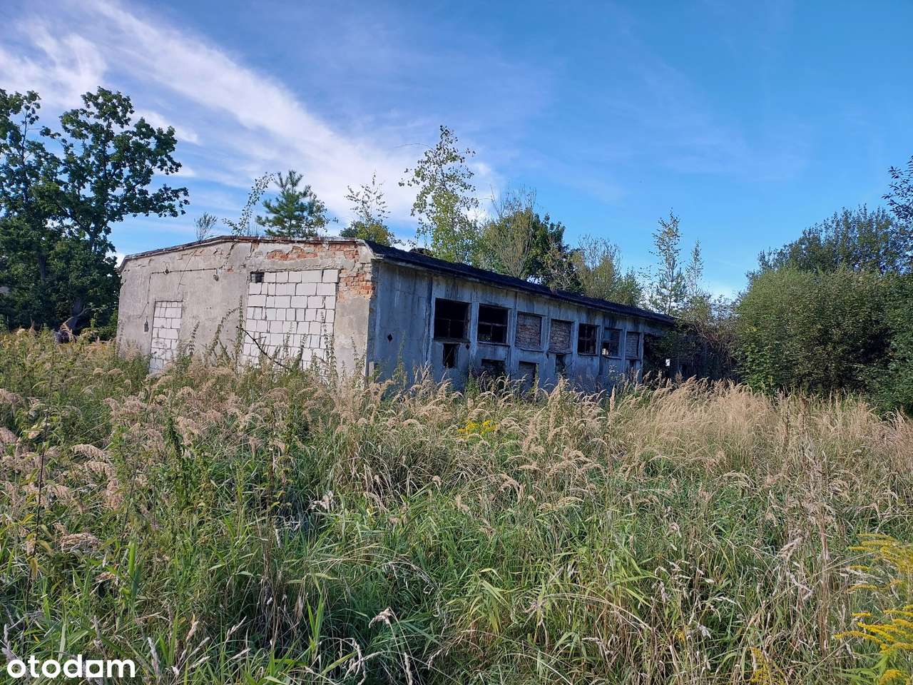 Nieruchomość pod Eko-Wioskę 18 000 m2 - Pełny obrazek: 5/8