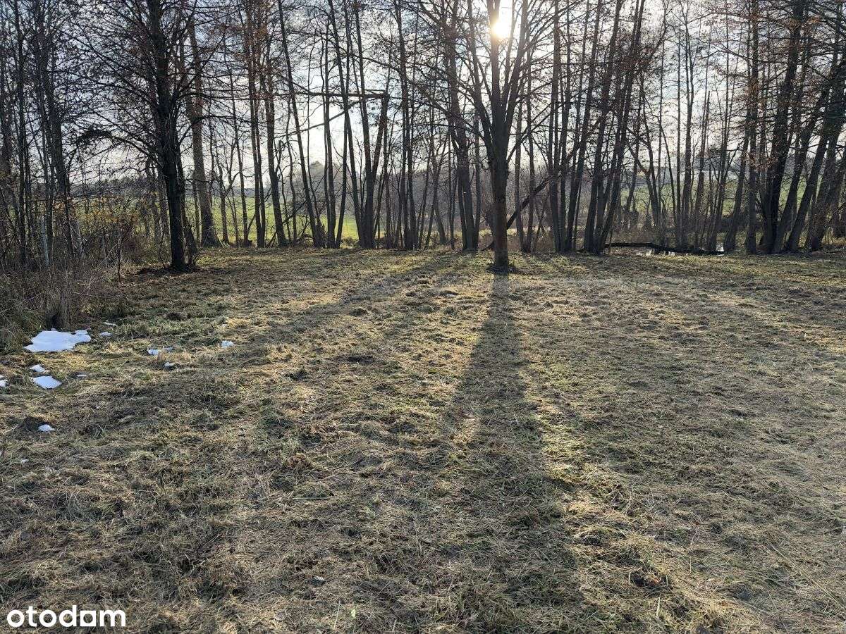 Poznań, Baranowo -Chyby, rezydencja okazja-0