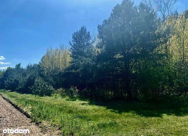 Atrakcyjna działka - Bolimowski Park Krajobrazowy - Pełny obrazek: 5/16