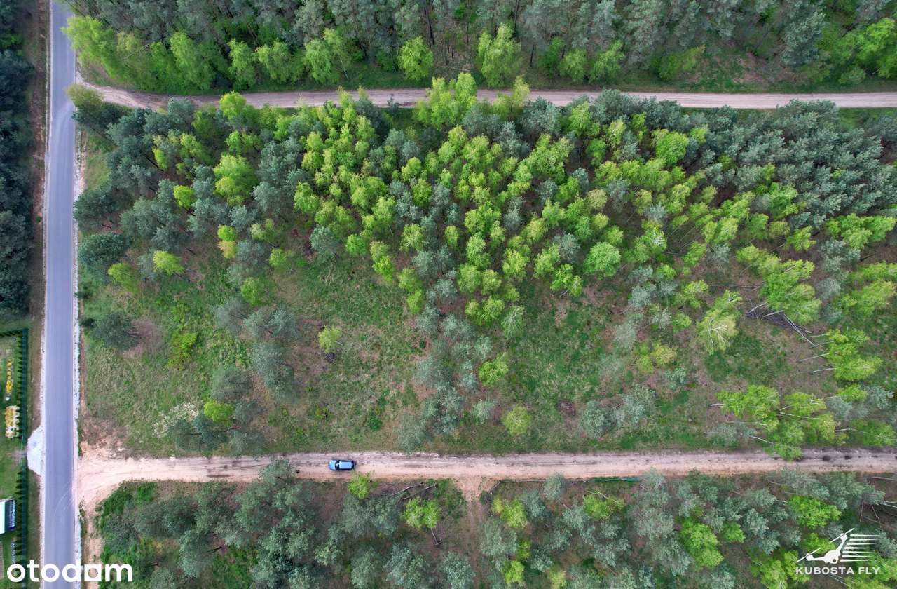 Działka ze starodrzewiem - Puszcza Zielonka Karczewko-5