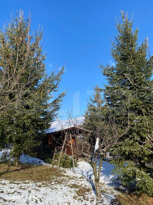 Teren intravila de vanzare, 1.100 mp, in Bistrita, pe strada Drumul Du - Imagine principală: 5/12