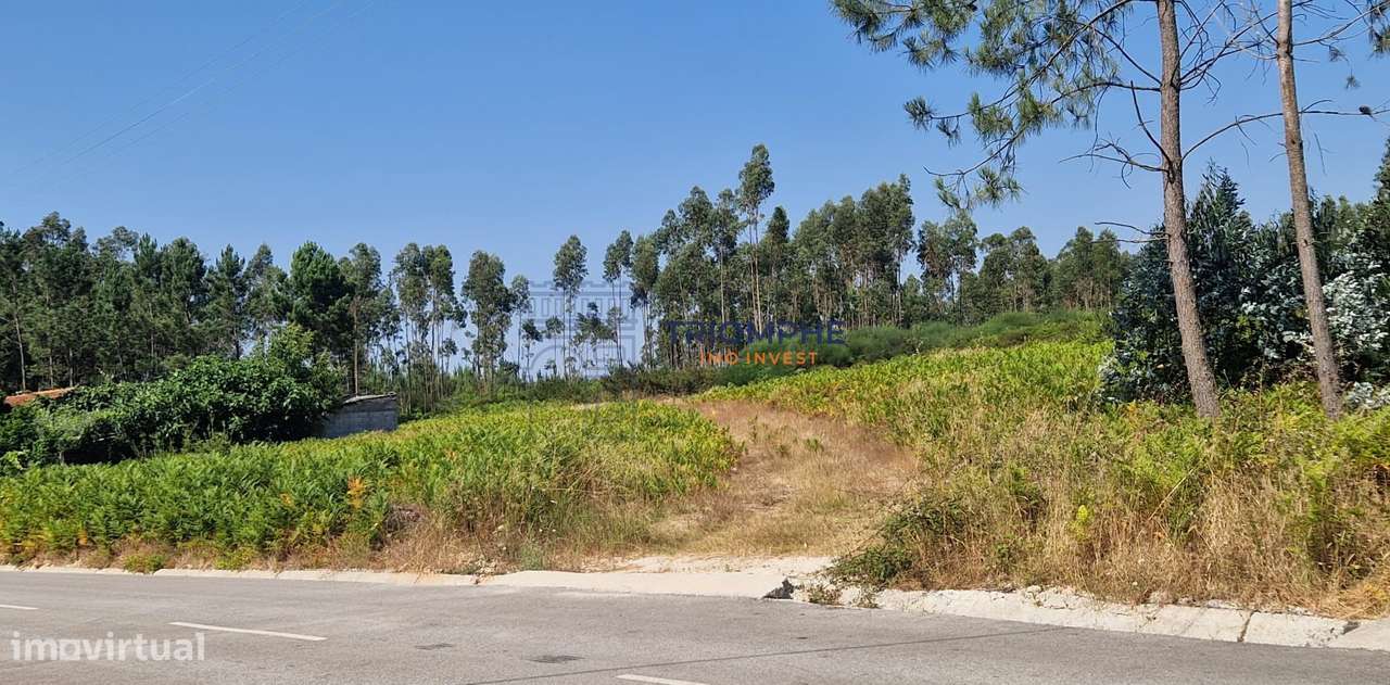 Terreno Rústico Pombal - Grande imagem: 5/5