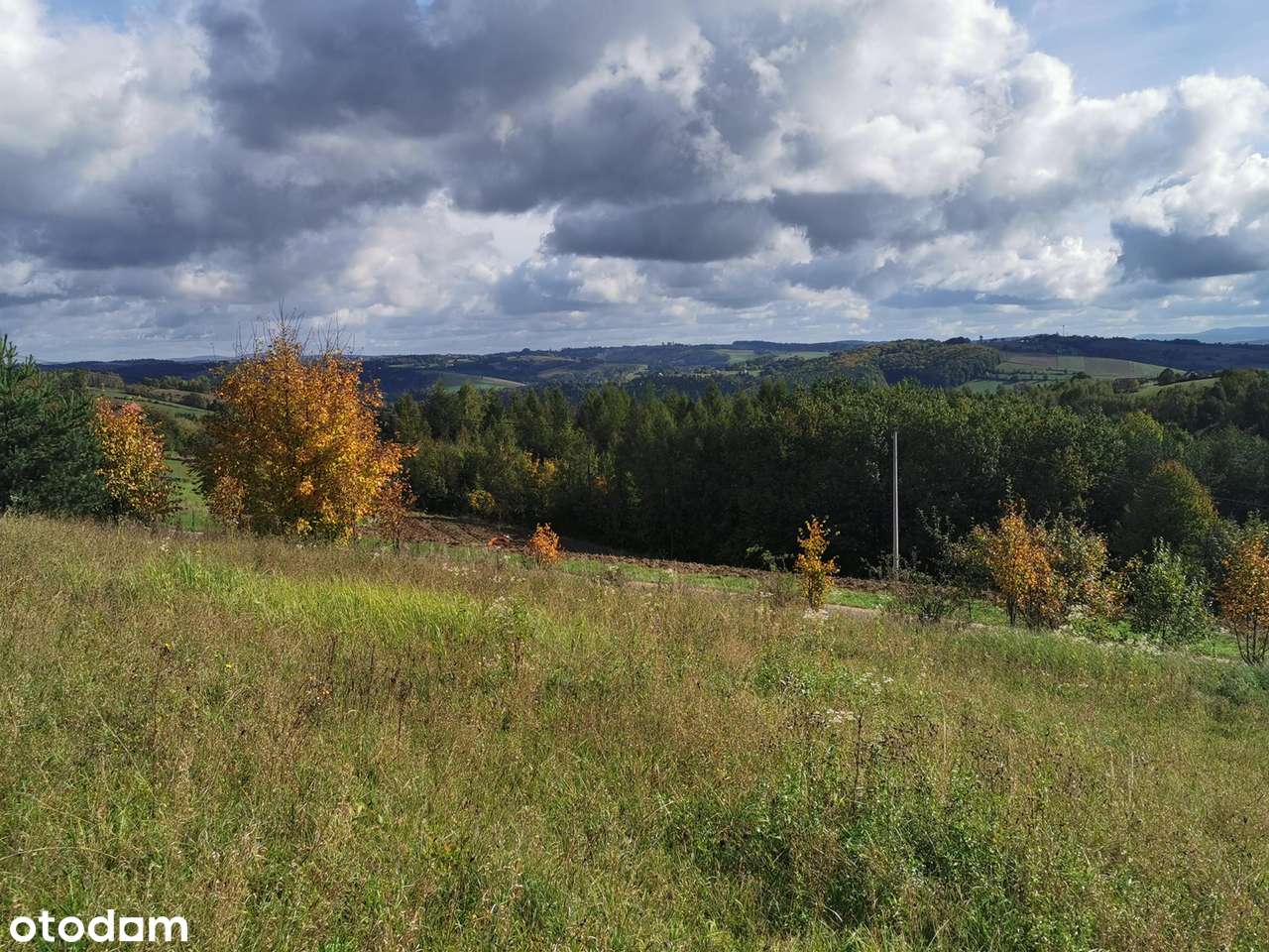 Działki budowlane w Bruśniku - Pełny obrazek: 5/7
