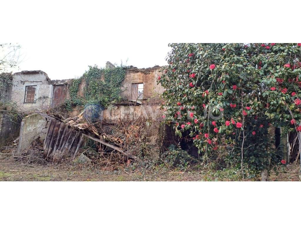 Casa Antiga Com Arrecadação e Terreno Para Recuperar, Cernache do B...-24