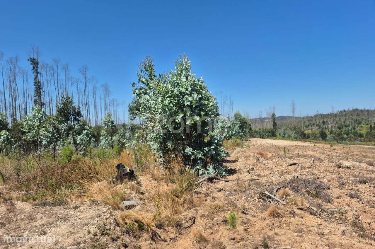 Terreno Rústico na Caranguejeira - Grande imagem: 4/22