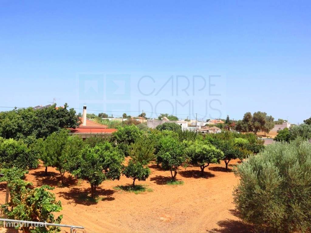 Quinta T4, em Luz de Tavira-51