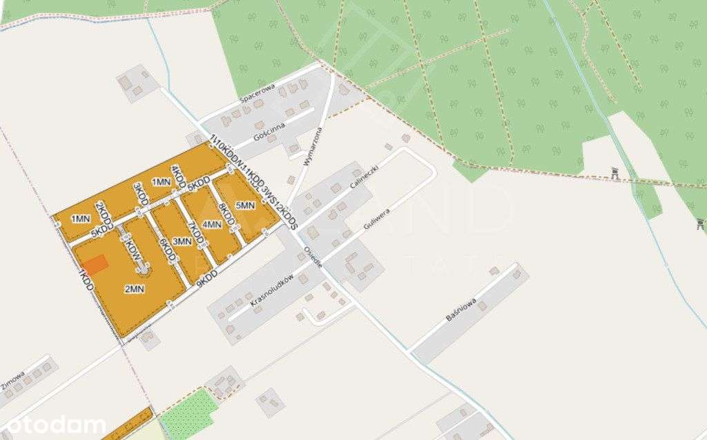 Urocza działka wśród pól i blisko lasu Dopiewo - Pełny obrazek: 4/4