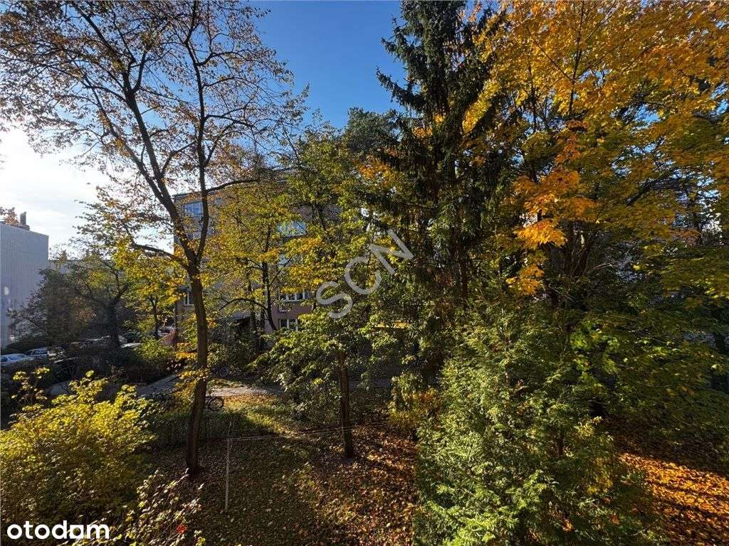 2 pokoje, oddzielna kuchnia-7