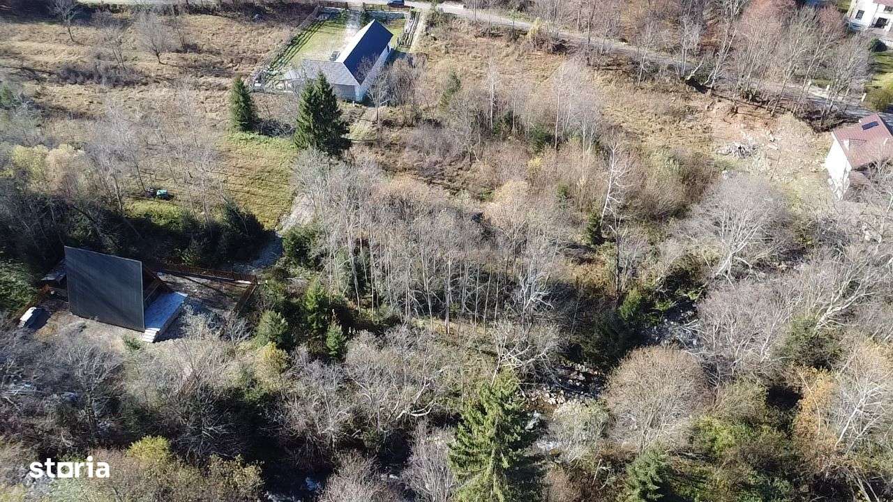 Teren de vânzare 3600 mp Poiana Mărului Caraș-Severin ( cu potențial ) - Imagine principală: 3/5