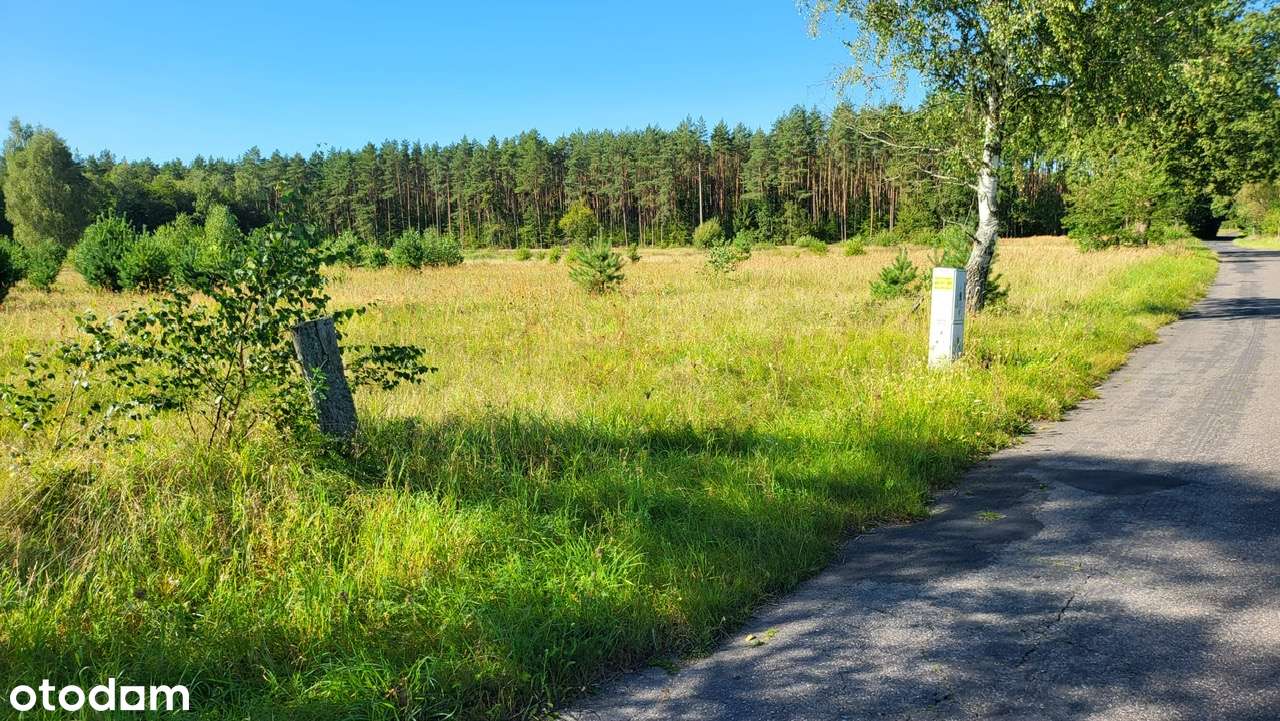 Działka Stawno 8800 m2 z warunkami zabudowy!-4