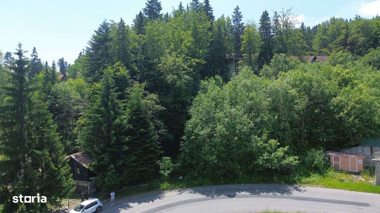 PREDEAL - Trei Brazi - Teren intravilan- 800 mp - Imagine principală: 5/20