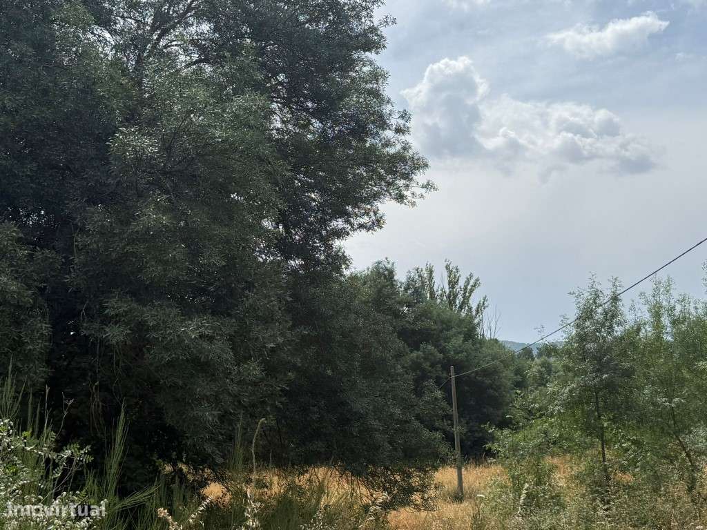 Propriedade Única para Turismo Rural na Covilhã - Boi Dobra-7