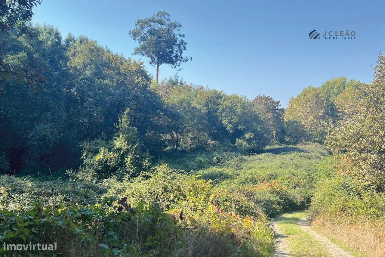Terreno Agrícola 10.400 m² – Rebordosa, Paredes-4