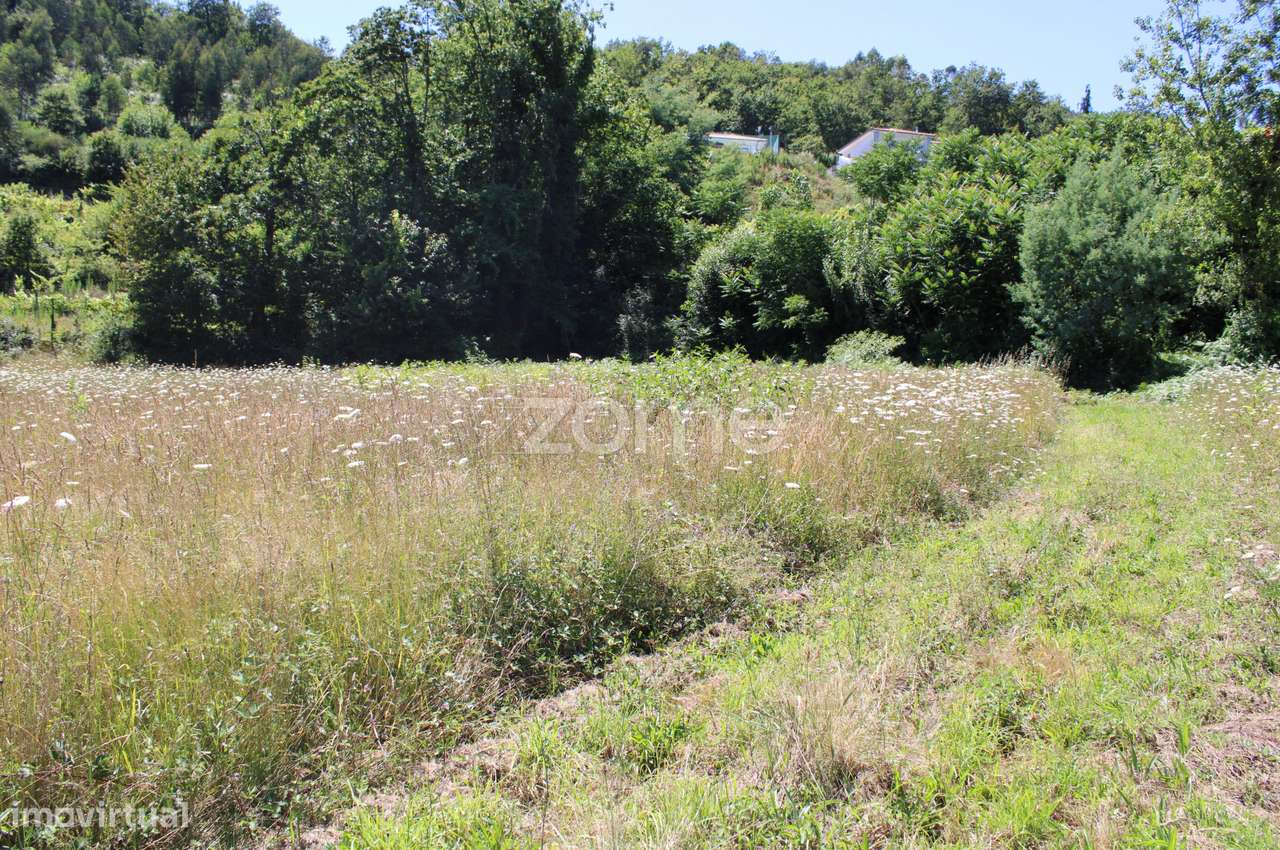 Terreno para venda em Infantas - Grande imagem: 4/15