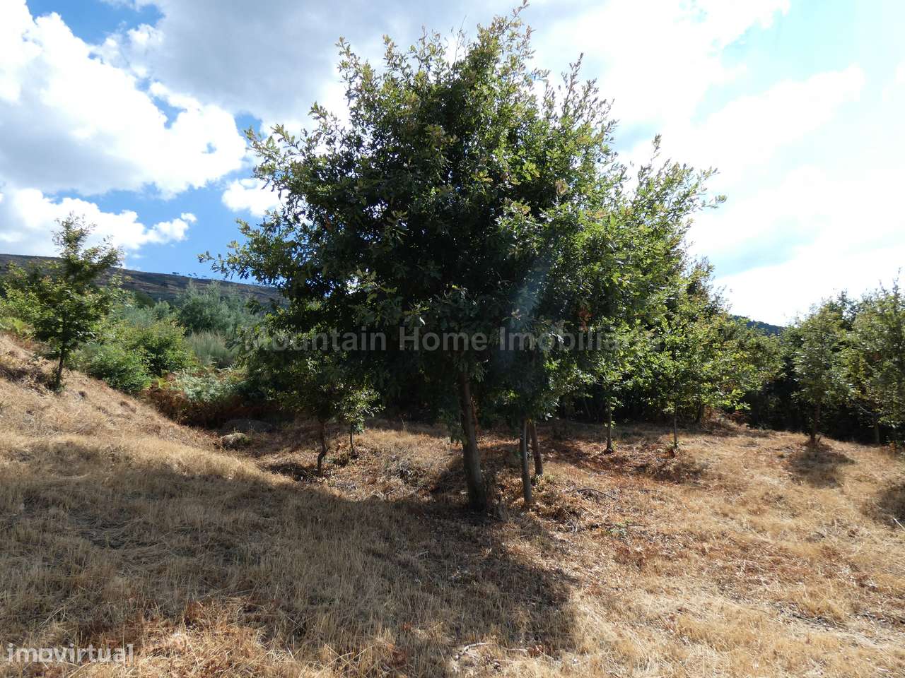 Lote de Terreno  Venda em Seia, São Romão e Lapa dos Dinheiros,Seia - Grande imagem: 5/12