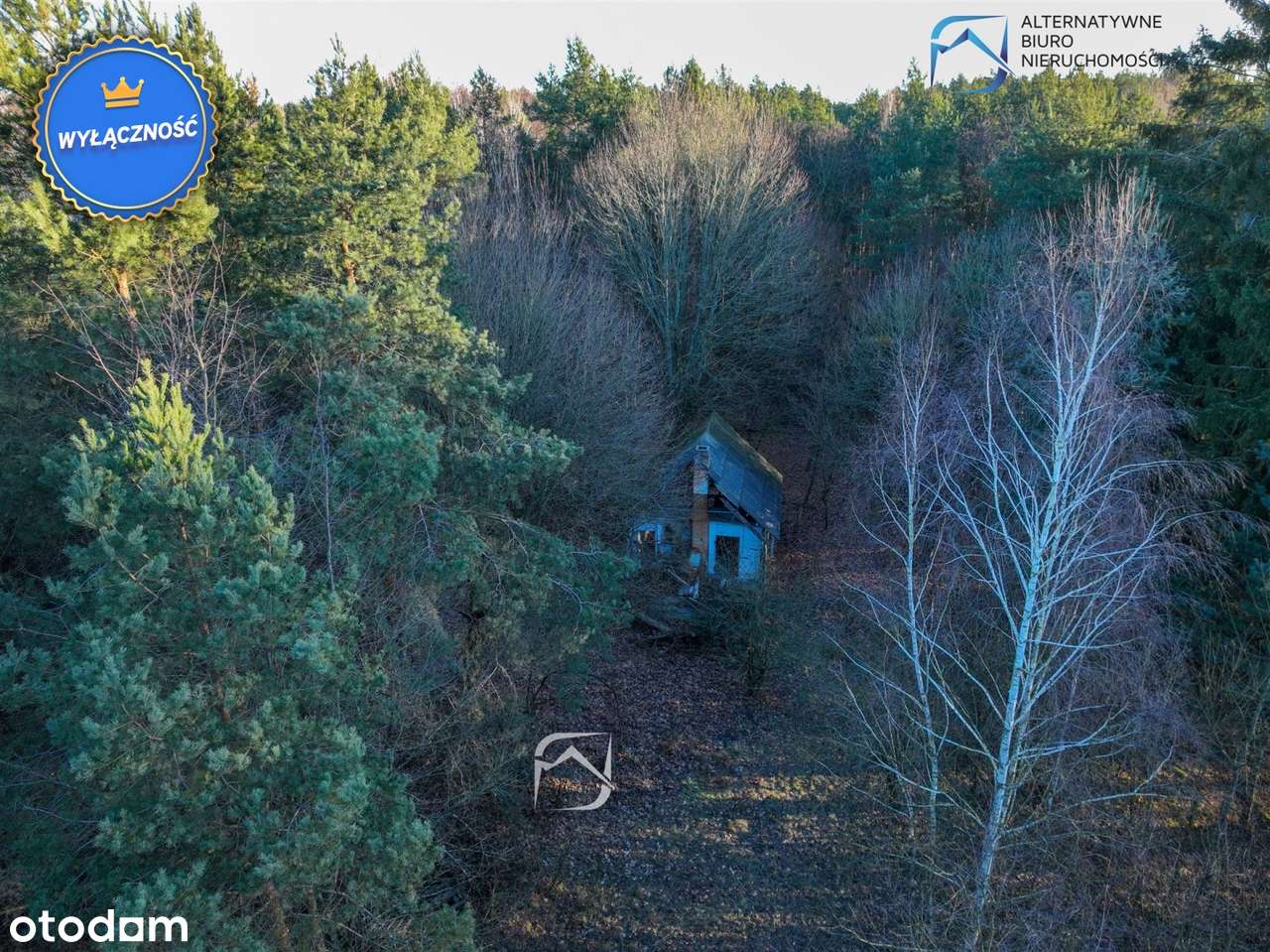 Atrakcyjna działka budowlana w środku lasu - Pełny obrazek: 5/20