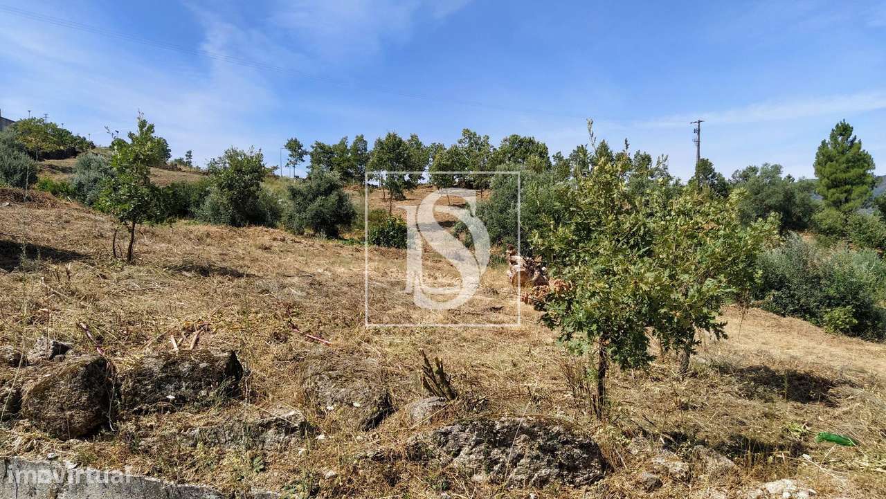Terreno  Venda em Belmonte e Colmeal da Torre,Belmonte - Grande imagem: 2/12
