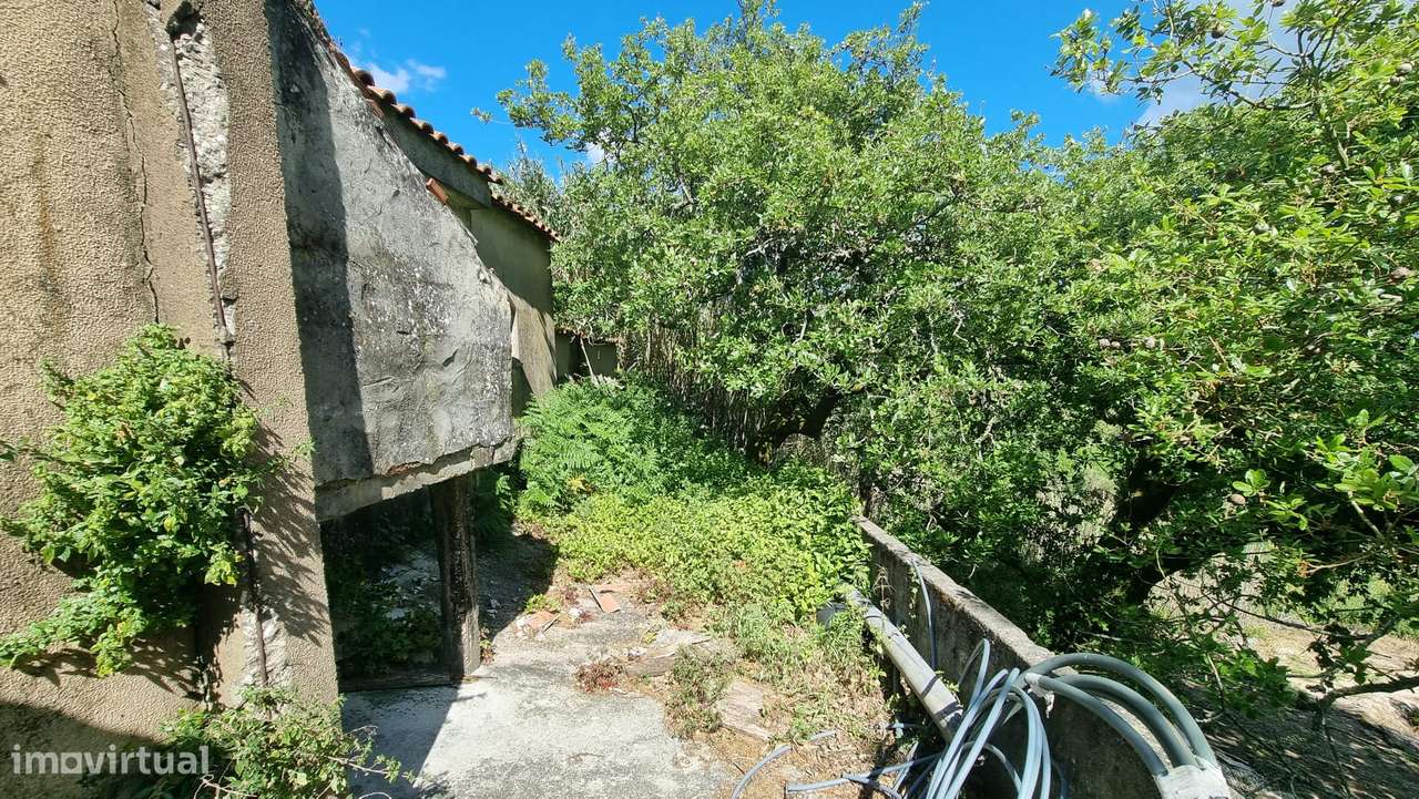 2 Moradias para remodelar com logradouro - Carvalhal Benfeito-36