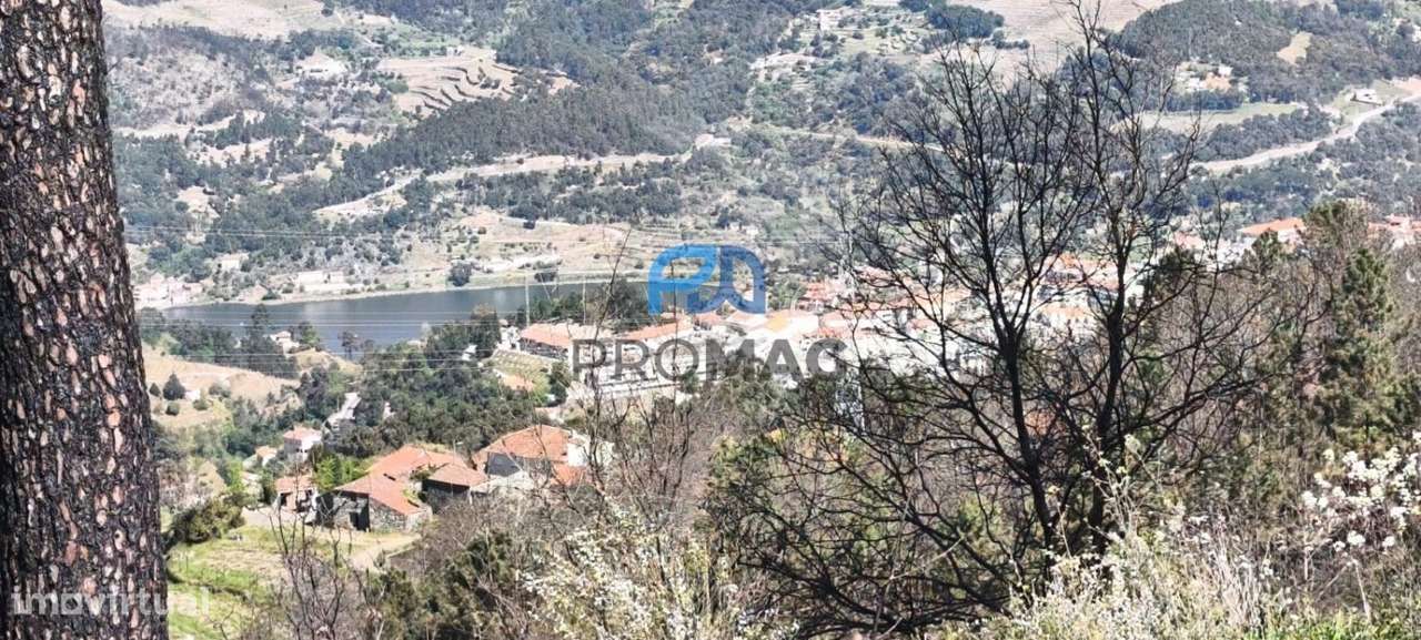 Quinta com 3 artigos urbanos, piscina e 9,4 ha em Resende-55