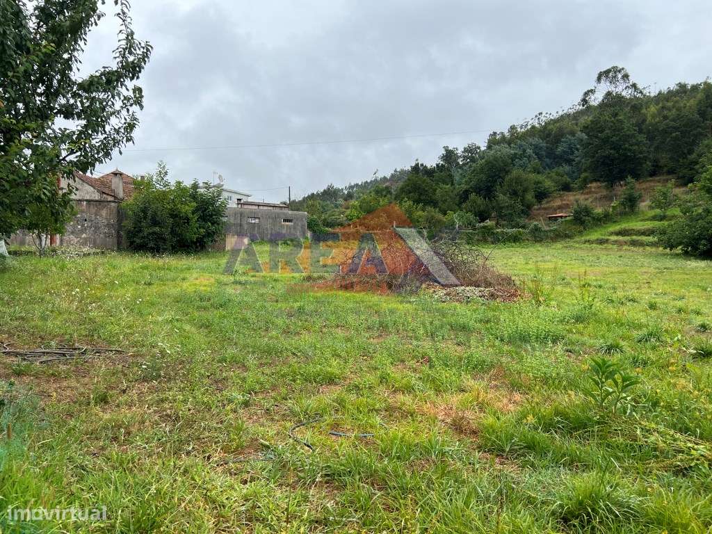 Oportunidade: 2 casas + artigo rústico com 2,0648 ha, perto de Oliv...-21