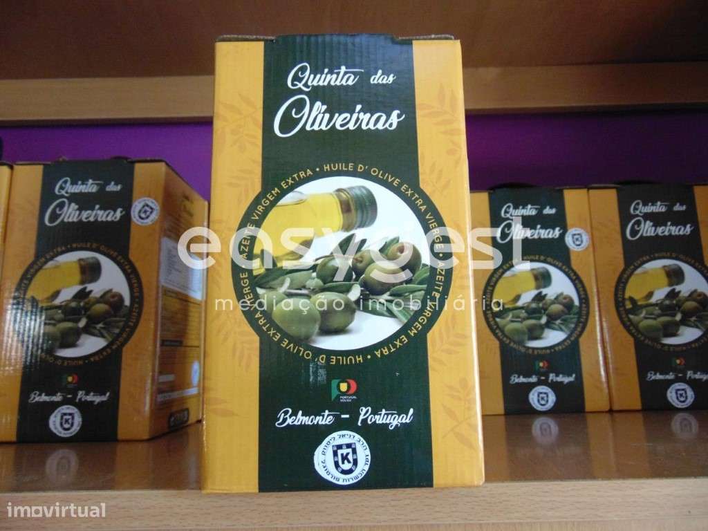 Quinta com Restaurante, Alojamento, Praia Fluvial e Produção de azeite - Grande imagem: 2/49