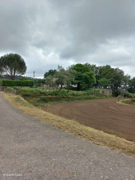Terreno Rústico com viabilidade de construção em Escariz - Grande imagem: 4/12