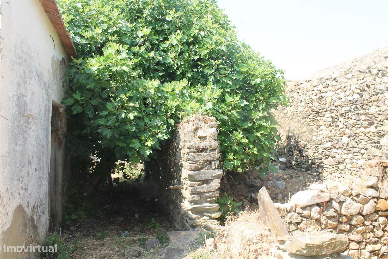 Moradia - Grande imagem: 4/15