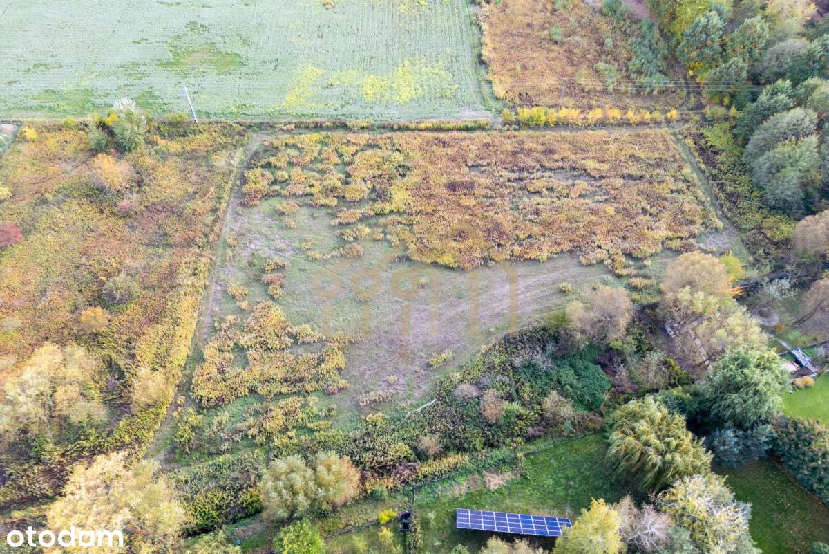 Działka budowlana/ Łoziska/Piaseczno/Iwiczna - Pełny obrazek: 4/11
