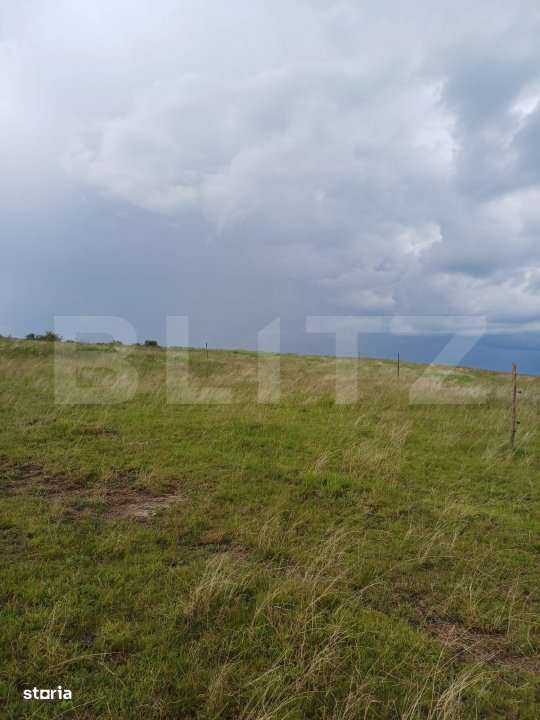 Teren extravilan 1248 mp in Copaceni! Oportunitate investitie! - Imagine principală: 3/4