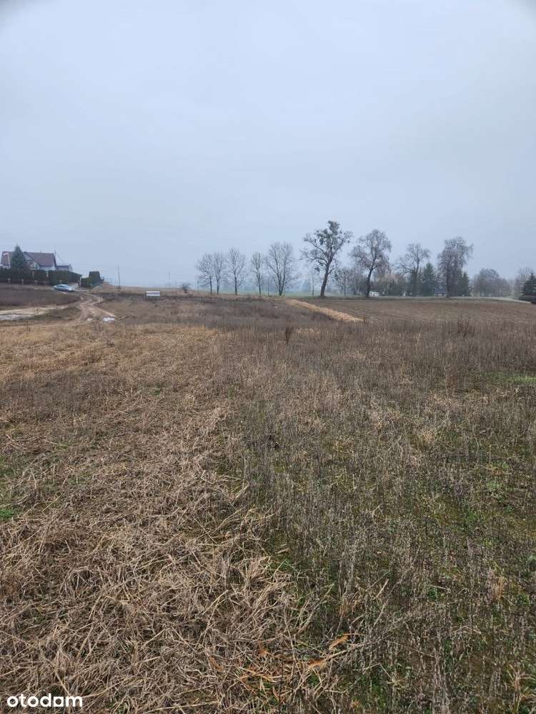 Działka budowlana Skorcz - Ryzowie-1