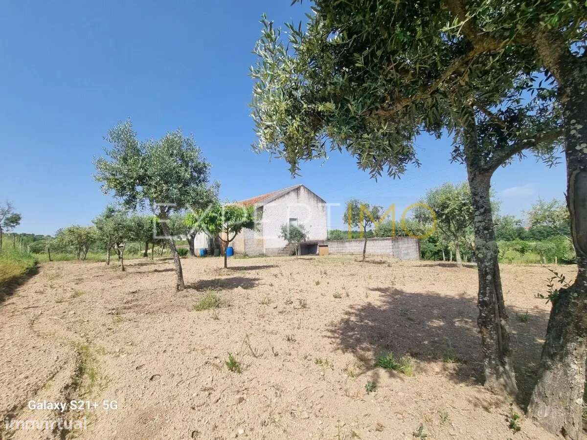 Casa Quinta rural e natureza - Gouveia - Grande imagem: 5/33