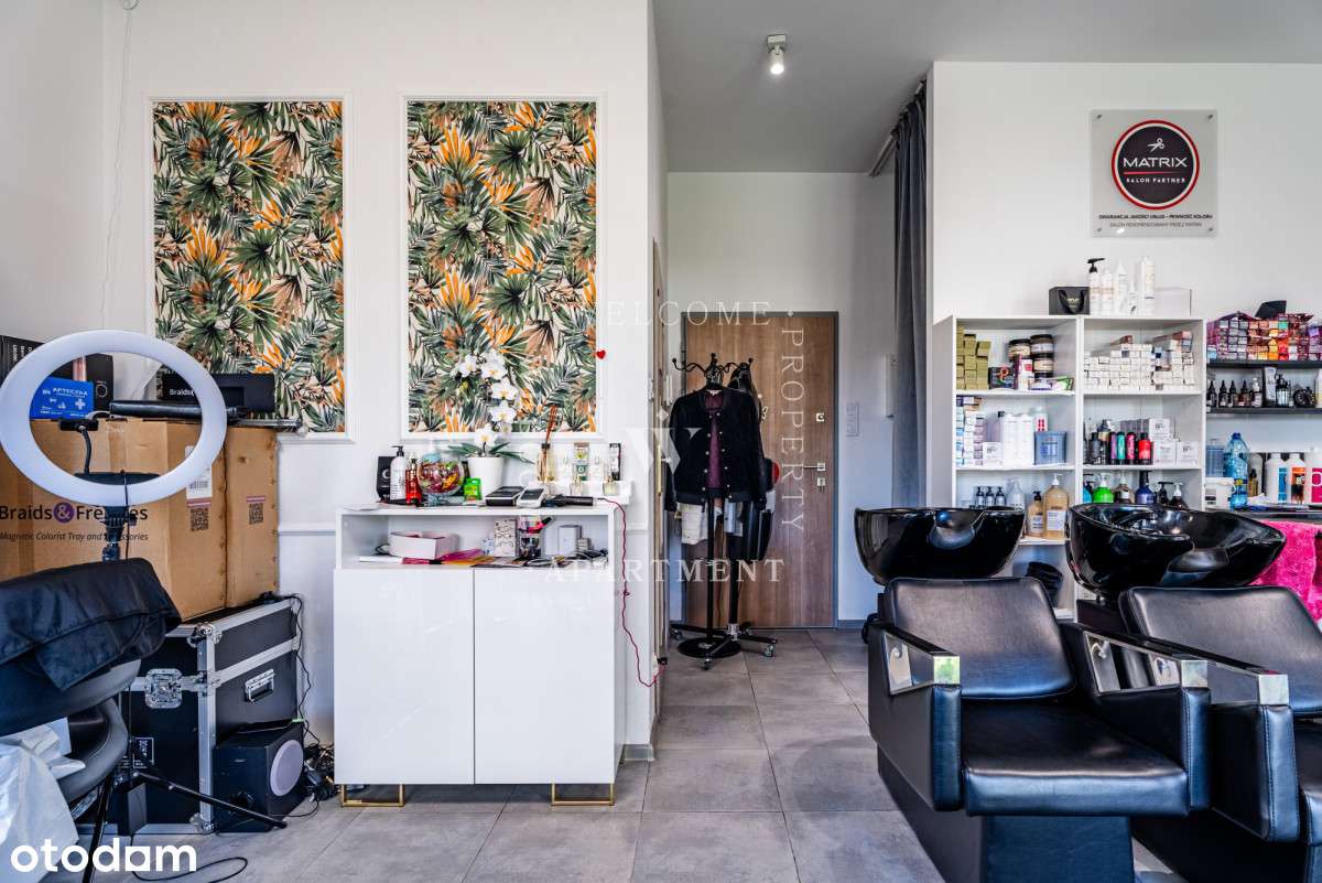 Albatross | Zysk i Ogród!-4