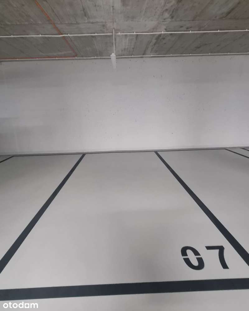 Przestronne 3M obok rezerwatu przyrody , 2023 !-16