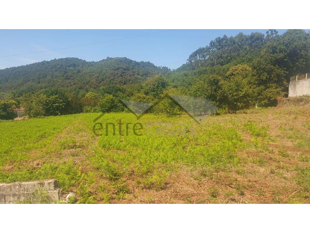 Terreno - Grande imagem: 4/8