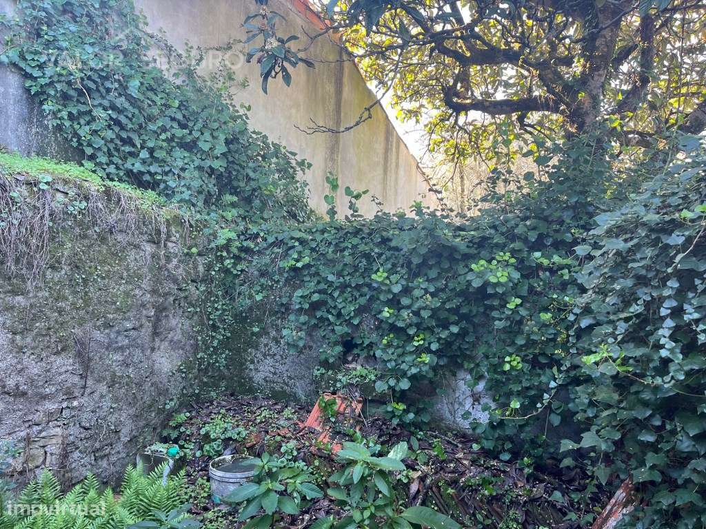 Casa rural para recuperação em Ansião-18