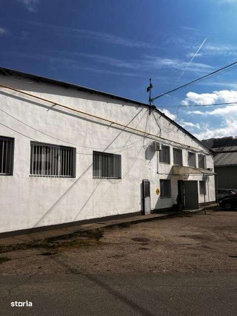 Hala cu acces facil din sosea - Imagine principală: 5/6