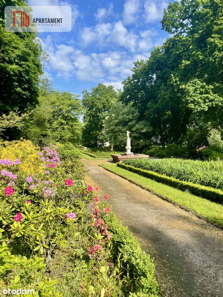 Mieszkanie 2-pokojowe w centrum - Pełny obrazek: 3/10